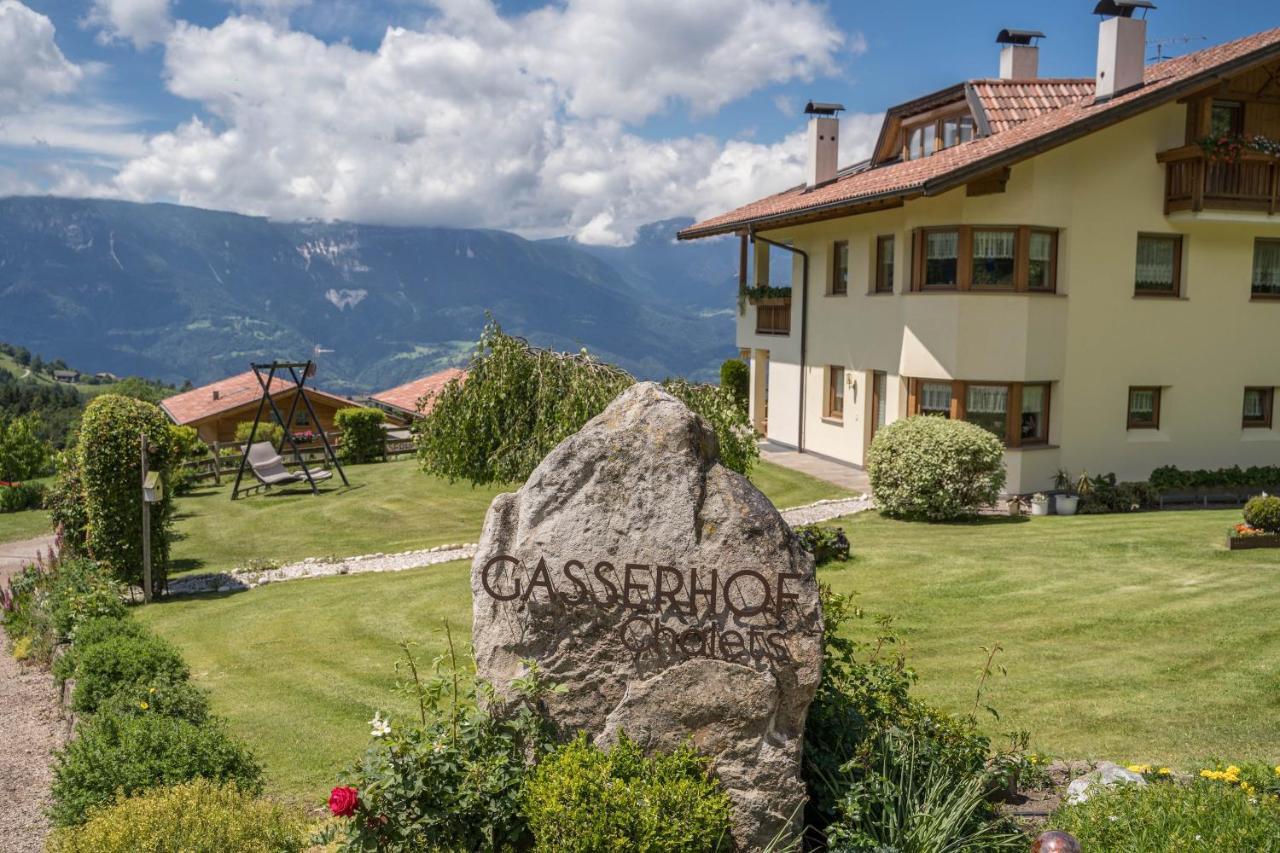 Gasserhof - Chalet A Villa Frassinetto  Exterior photo